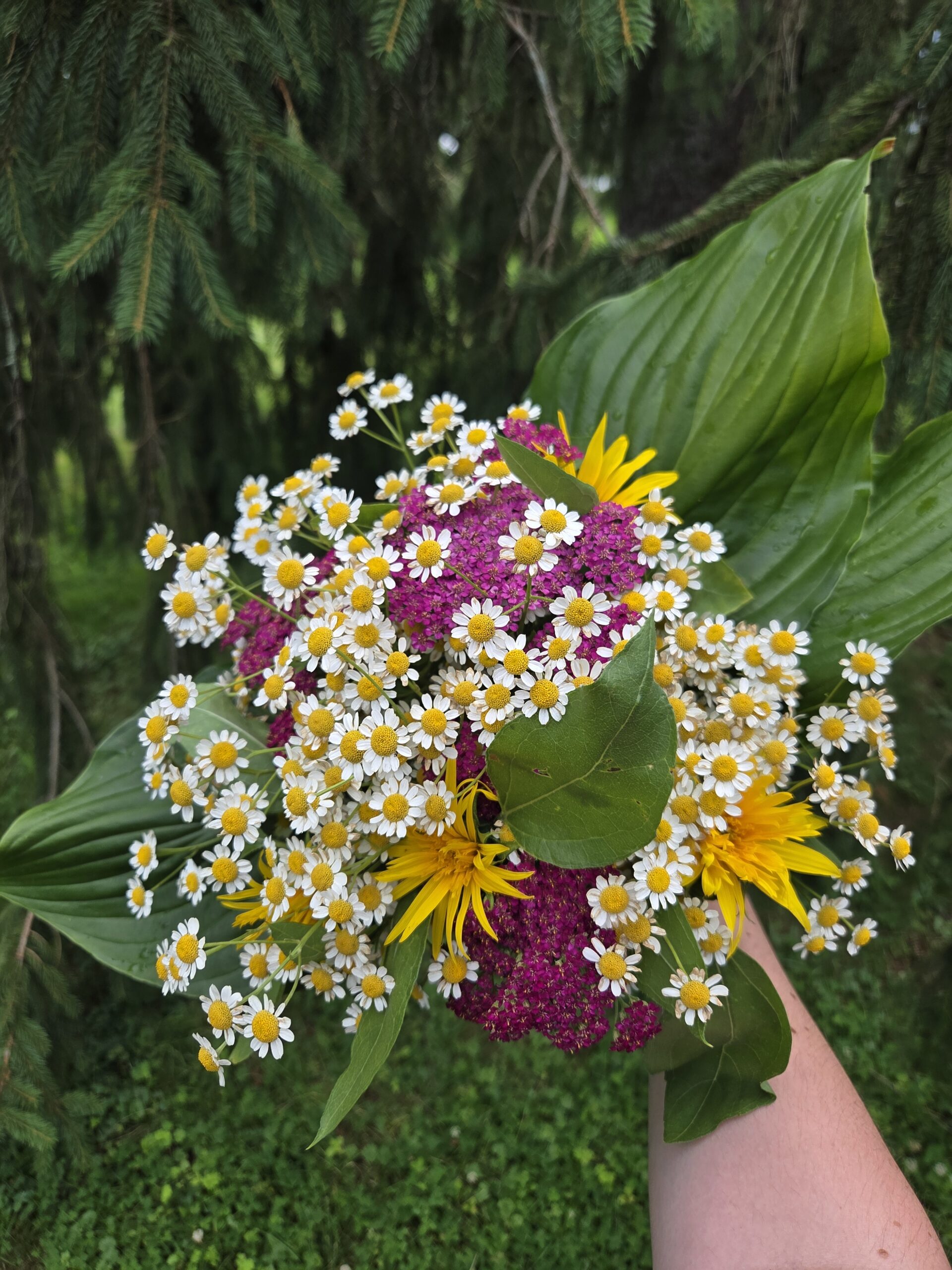 Weekend UPick Ticket - Image 4