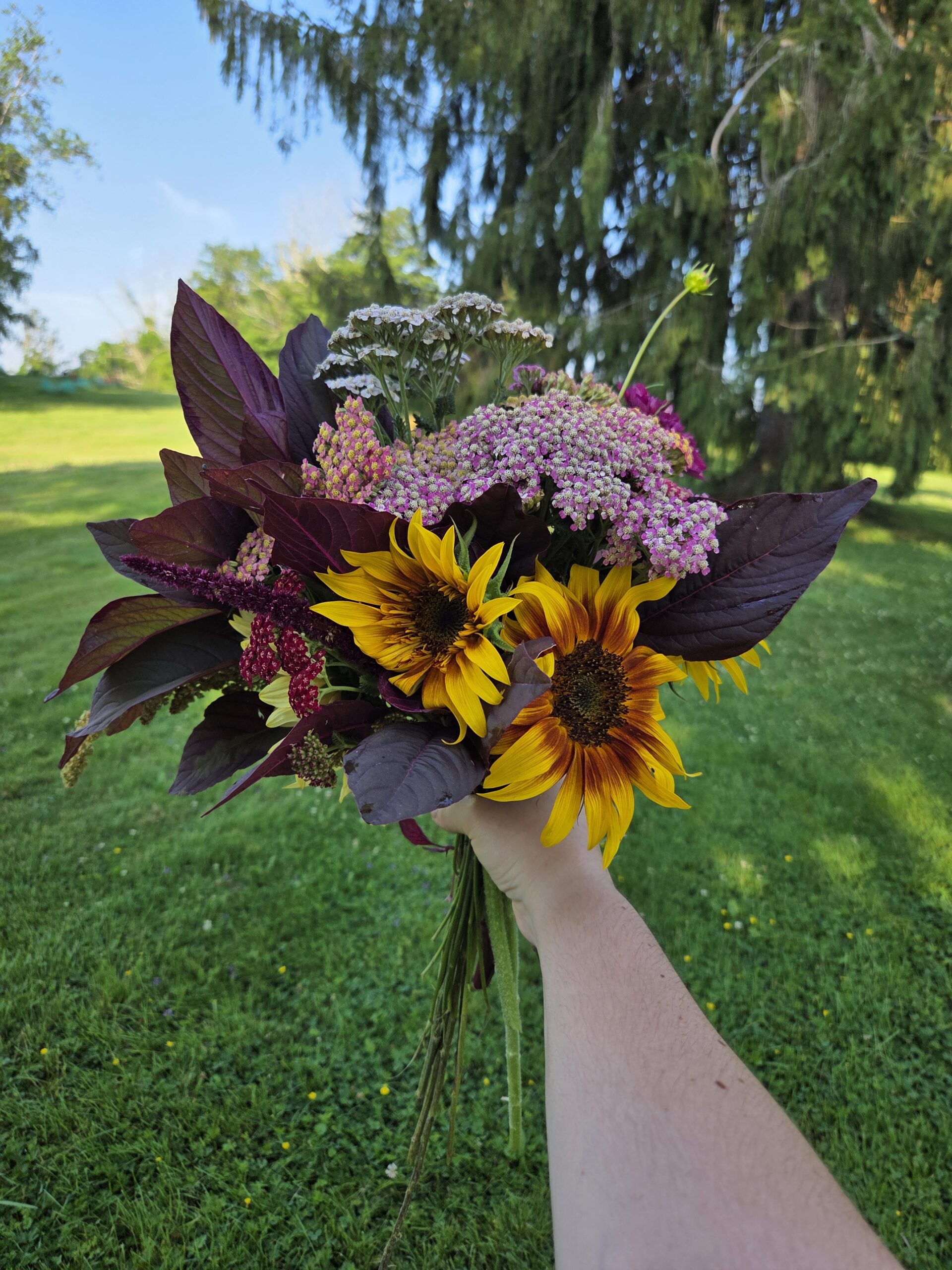Grower's Choice Buckets - Image 3