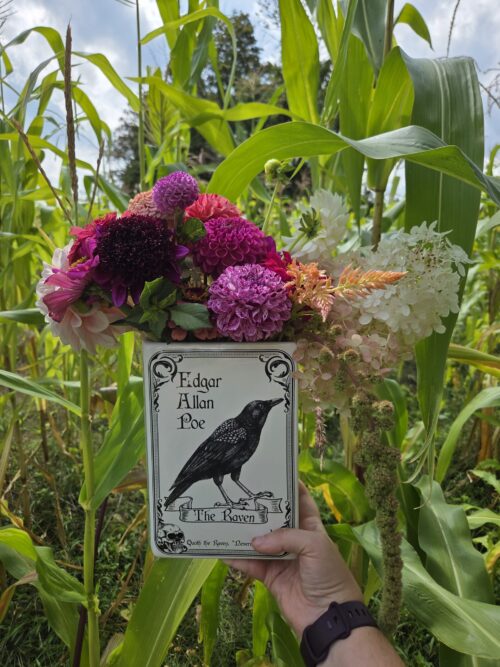 Book Vase Arranging Workshop