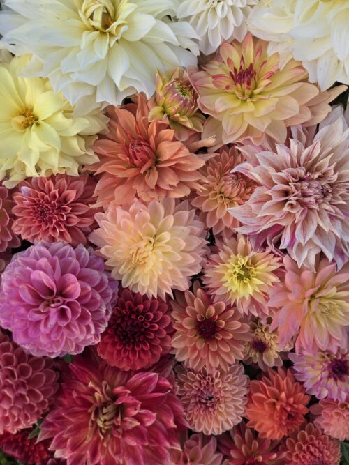 Bouquet Workshop with Custom Pottery