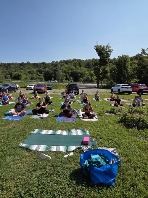 Yoga in the Flower Fields