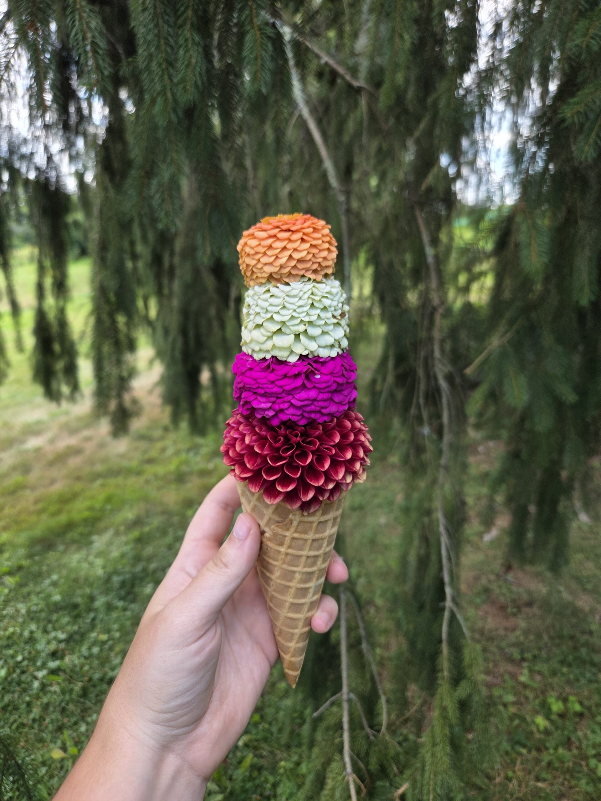 Oliver Wolcott Library Ice Cream Social Fundraiser